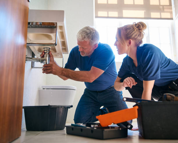 Best Drain Cleaning Services  in Cambridge, MD